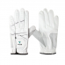 작은이미지: 남성용 여성용 골프 기능성 장갑 102907 #2