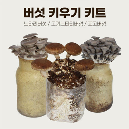 버섯 키우기 키트 #2