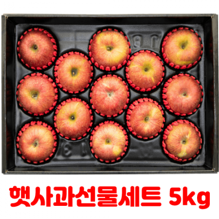 햇사과선물세트 5kg #2