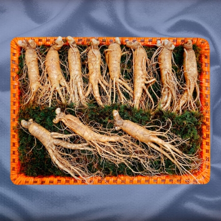 [22년추석][풍기인삼]6년근수삼1호 500g(15~20뿌리)(면세) #2