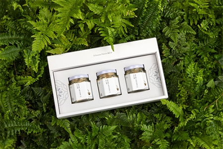 조은나래 도라지정과 예드림240 #4