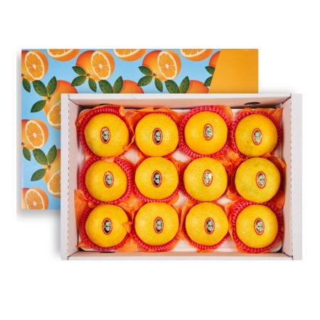 [제주도농수산] 황금향(프리미엄고당도) 3kg 선물세트 (개별망고망)( #2