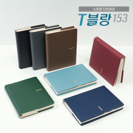 25절 스프링 T블랑153 다이어리 #2