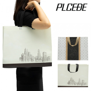 [플씨드] 코팅 부직포 가방 2컬러 1P