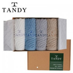 탠디 프리미엄 패키지 뉴웨이브 세면타올 4매 세트, 베이직
