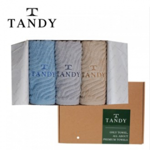 탠디 프리미엄 패키지 뉴웨이브 호텔 세면타올 3매 세트, 베이직