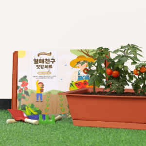 열매친구 키우기 세트 (화분 받침 포함) +(방울토마토, 오이, 당근)