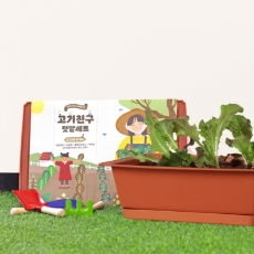 고기친구 키우기 세트 (화분 받침 포함) +(상추, 적겨자, 쑥갓)