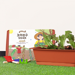 고기친구 키우기 세트 (화분 받침 포함) +(상추, 적겨자, 쑥갓)