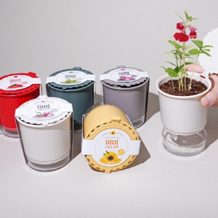 미미 그로우키트-봉선화 (인쇄 상품) #3