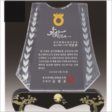 금문양 크리스탈 상패 14