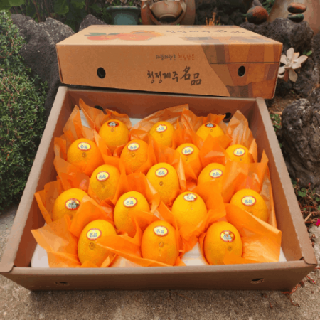 황금향 선물세트 5kg #2