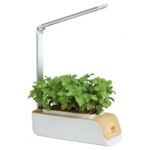 레벤트 가정용 스마트팜 식물재배기 PP-310