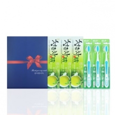 알뜰하게담은세트 7호 (청은차 치약 120g + 미세모칫솔 3개 + 선물케이스)