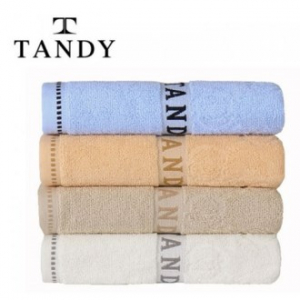 탠디 T-21 로얄 로고 매직타올 베이직