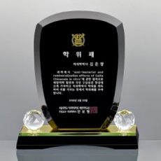 블랙 크리스탈 상패 14호 107-1