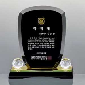 블랙 크리스탈 상패 SD13) 303-1