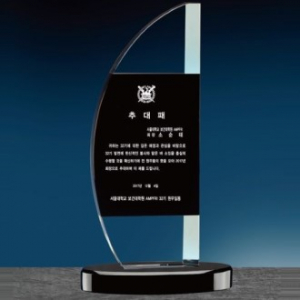 크리스탈 상패 DS11) 287-4