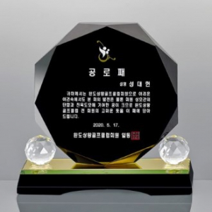 블랙 크리스탈 상패 SD13)305-3