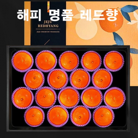 23년 설 과일 명절선물세트 명품 제주레드향 3kg (14~18과) db_003 #4