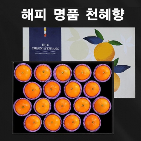 23년 설 과일 명절선물세트 명품 제주천혜향 3kg (14~18과) db_002 #4