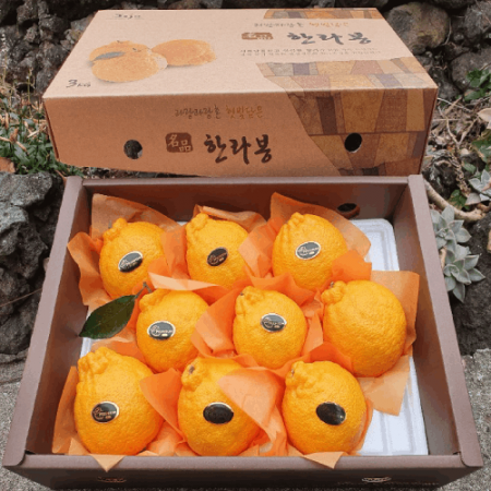 한라봉 선물세트 3kg #2
