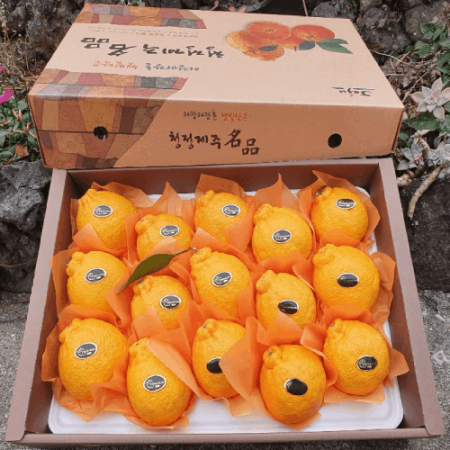 한라봉 선물세트 5kg #2