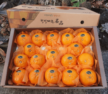 레드향 선물세트 5kg #2