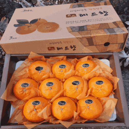 레드향 선물세트 3kg #2