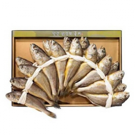 [칠산해] 영광법성포 참굴비세트 1호 (면세 부직포가방 포함) #4