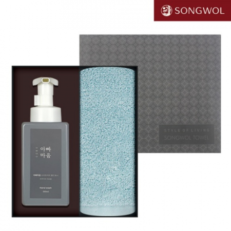 아빠마음 생활 세트 9호 (송월 항균 무지 타올 170g 1P +핸드워시 500ml 1P) #2
