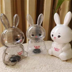 2023년 캐릭터 투명 토끼 저금통