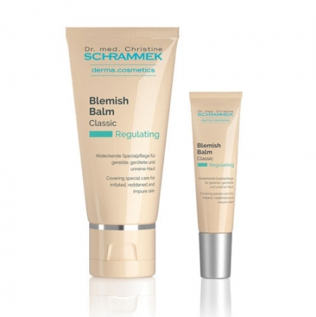 [독일 직수입] 닥터슈라멕 블레미쉬 밤 2P 세트 세계 최고의 재생, 진정BB #2