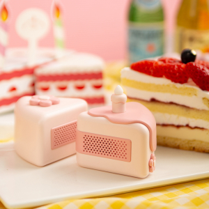 액센 BS110 케이크 블루투스 스피커 (2P)