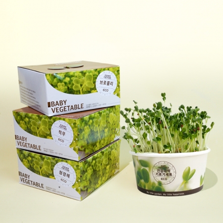 건강새싹 기르기 세트-청경채, 브로콜리, 적무 (인쇄상품) #3