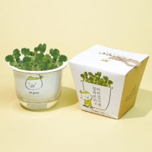 그린패밀리 식물키트-캣닢 (인쇄상품)