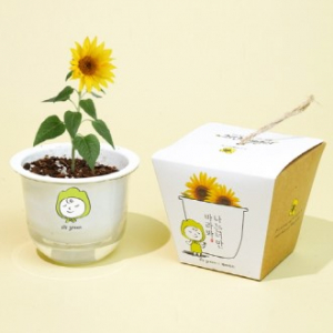 그린패밀리 식물키트-해바라기 (인쇄상품)