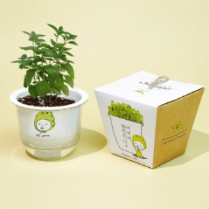 그린패밀리 식물키트-허브 바질 (인쇄상품)