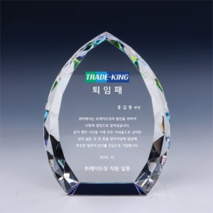 [트라포] 크리스탈 상패 감사패 TR41 컬러 다리미 상패 공로패 통상패