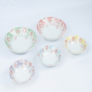 미노야 코스모스 찬기 5P