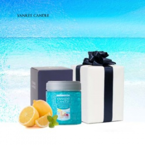 양키캔들 차량용 방향제 선물세트 스피어스 1P