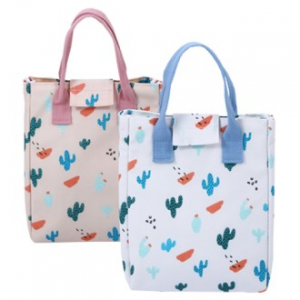 선인장 보냉 가방