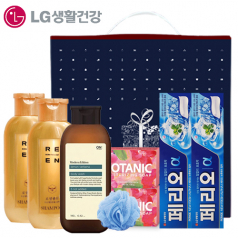 다올 LG생활건강 아름다운 정성 13호 세트