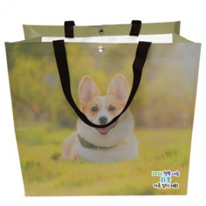 박스형 타포린가방(中)ㅡ풀컬러 인쇄 주문 제작