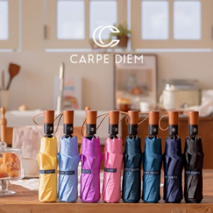 카르페디엠 3HHC042 3단 완전자동 우산