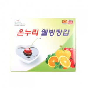 주방 웰빙 비닐위생장갑 1팩 30매