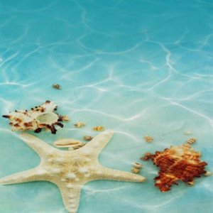 CG502 EL 폴라폴리스 샤워타올, 극세사 비치타올, 오션 150x75cm