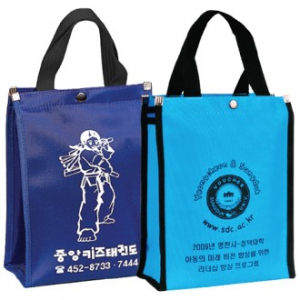 태권도 가방 250*300*100cm, 280*330*100cm