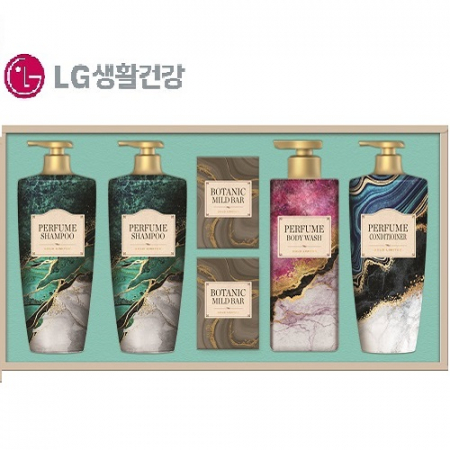 엘지생활건강 생활의 감동 샴푸 엔 바디 기획 선물세트 쇼핑백증정 #4