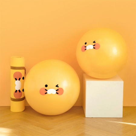 캐릭터 홈 트레이닝 짐 볼 #4